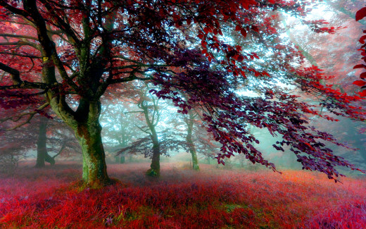 677649 (a): :1920x1200